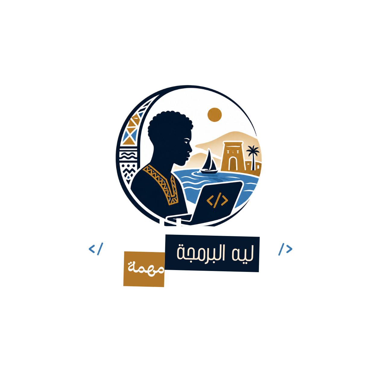 صورة الفيديو